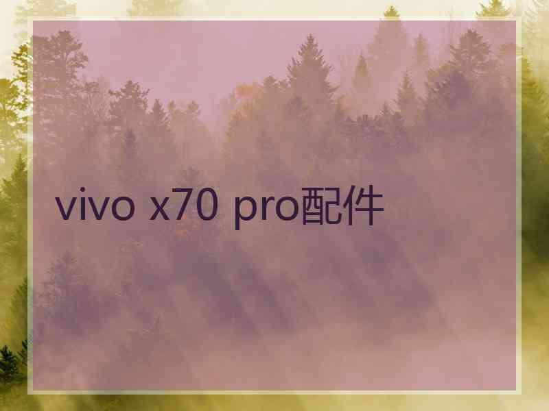 vivo x70 pro配件