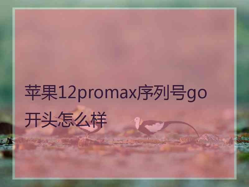 苹果12promax序列号go开头怎么样