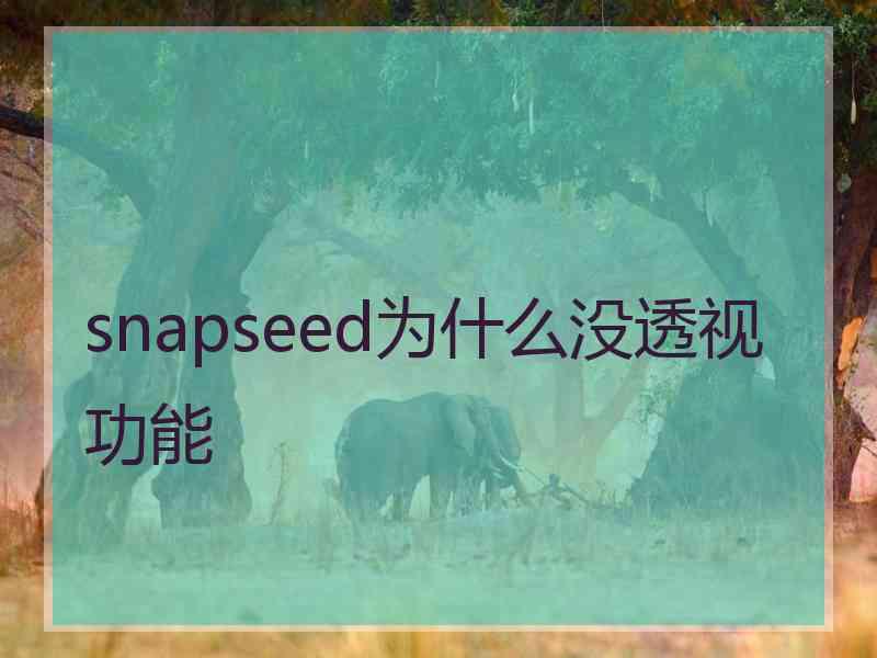 snapseed为什么没透视功能