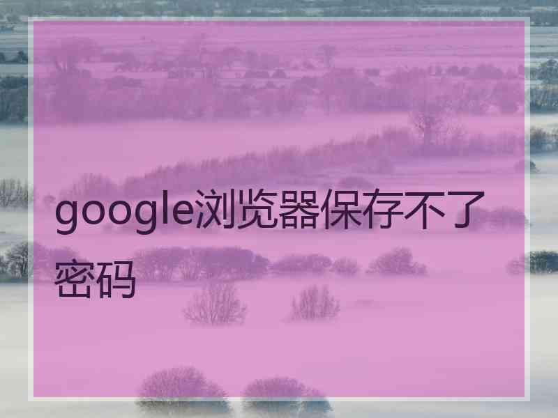 google浏览器保存不了密码