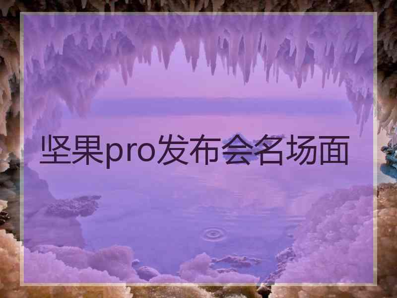 坚果pro发布会名场面