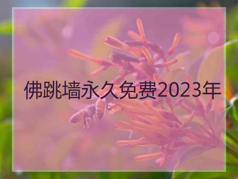 佛跳墙永久免费2023年