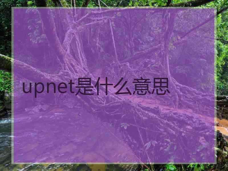 upnet是什么意思