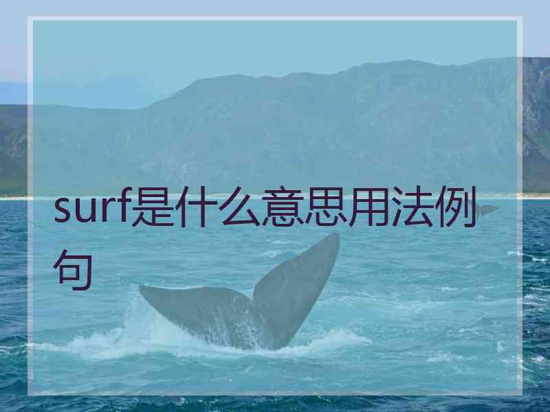 surf是什么意思用法例句