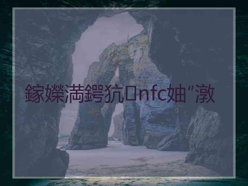 鎵嬫満鍔犺nfc妯″潡