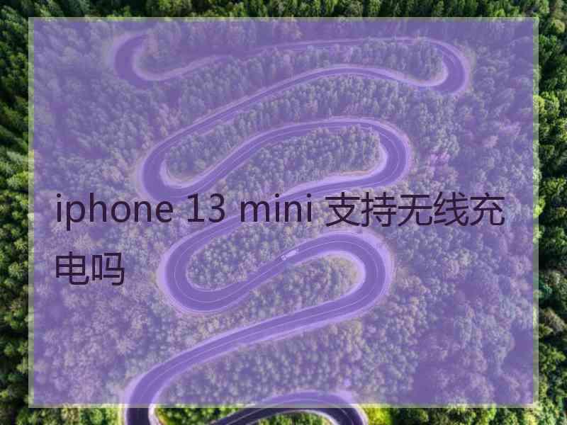 iphone 13 mini 支持无线充电吗