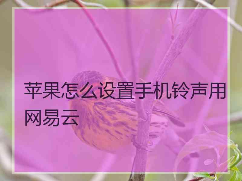 苹果怎么设置手机铃声用网易云