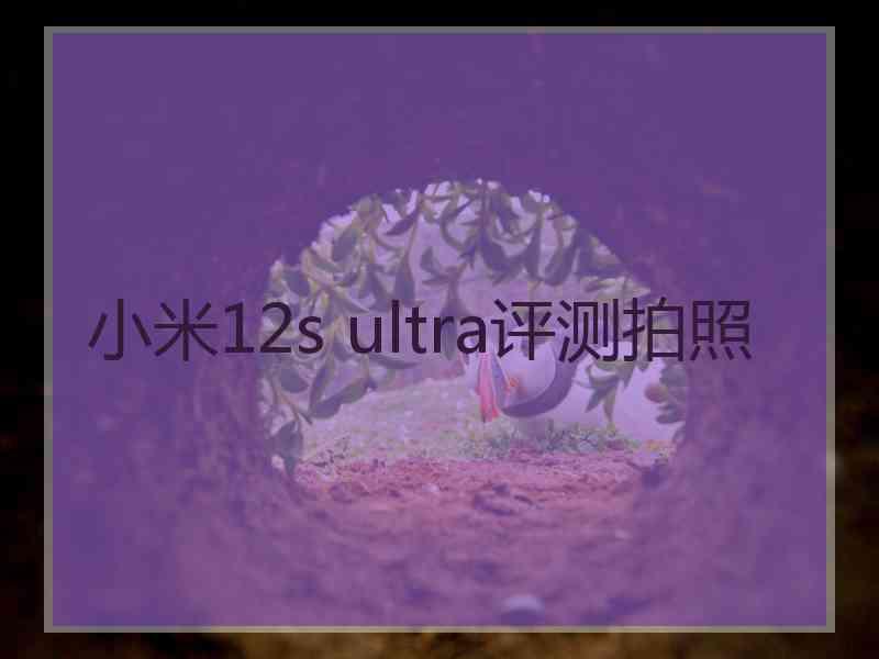 小米12s ultra评测拍照