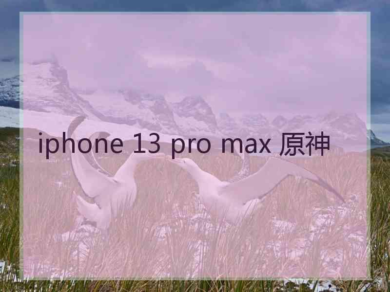 iphone 13 pro max 原神