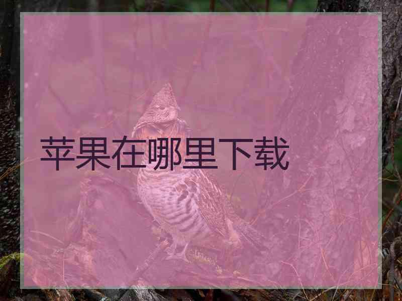 苹果在哪里下载