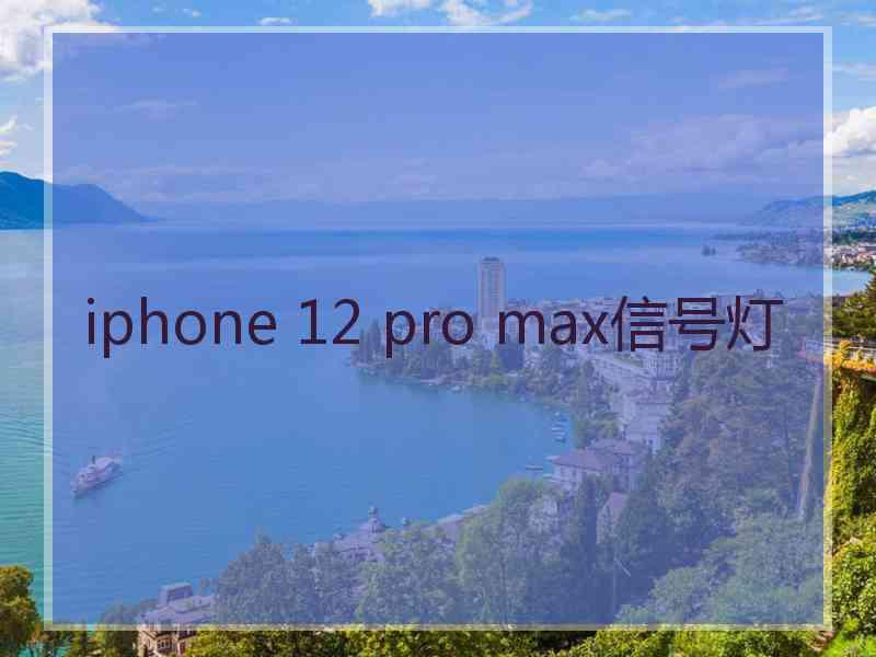 iphone 12 pro max信号灯