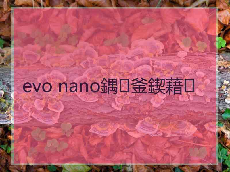 evo nano鍝釜鍥藉