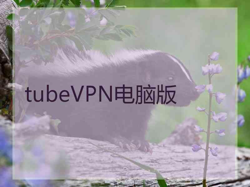 tubeVPN电脑版