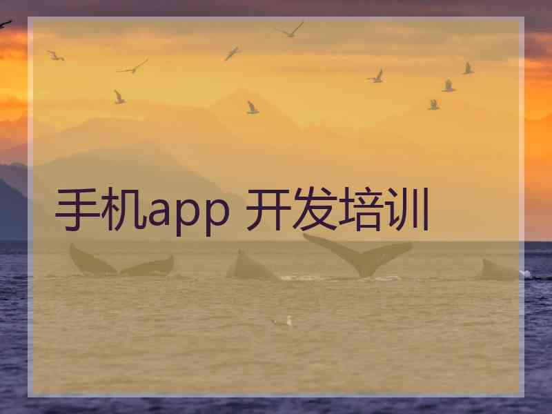 手机app 开发培训