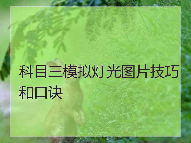 科目三模拟灯光图片技巧和口诀