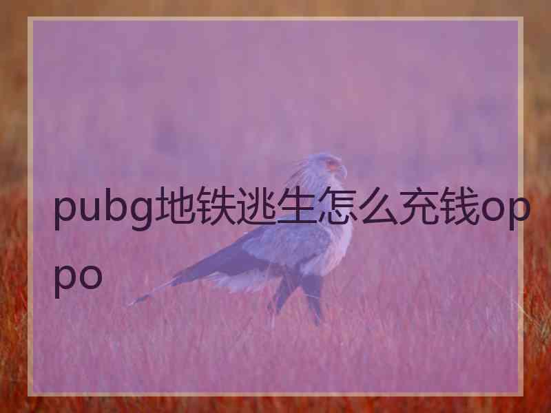 pubg地铁逃生怎么充钱oppo