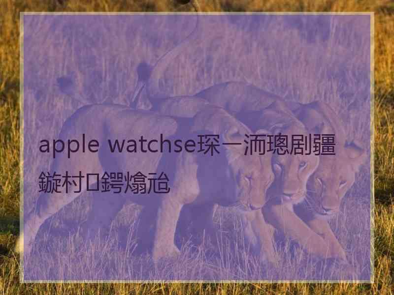 apple watchse琛ㄧ洏璁剧疆鏇村鍔熻兘