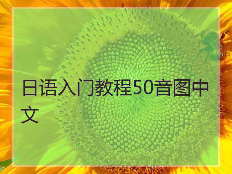 日语入门教程50音图中文