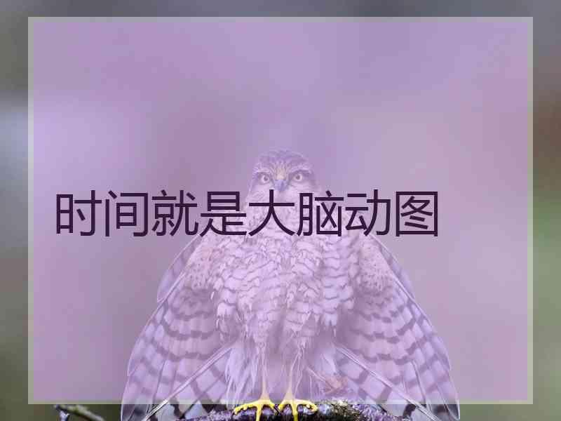 时间就是大脑动图