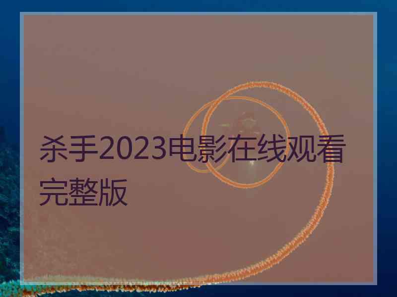 杀手2023电影在线观看完整版