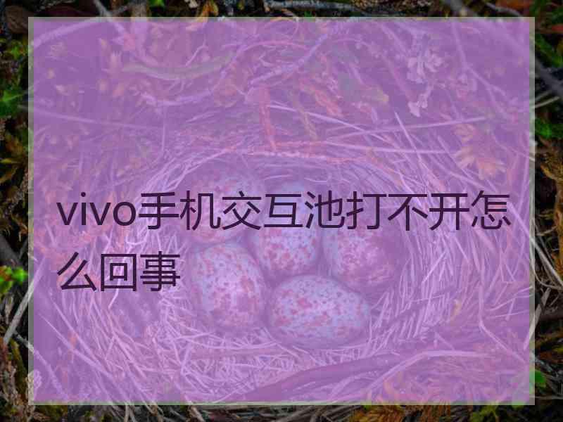 vivo手机交互池打不开怎么回事