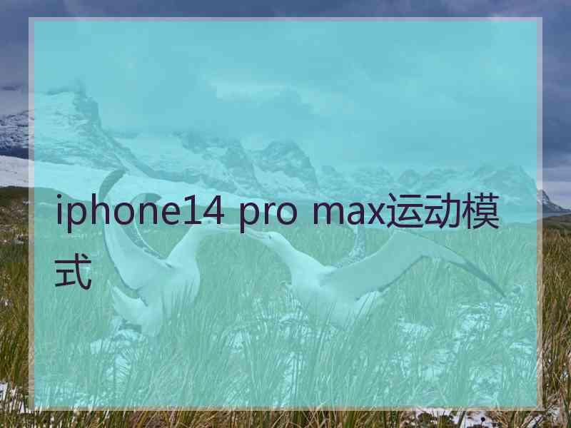 iphone14 pro max运动模式