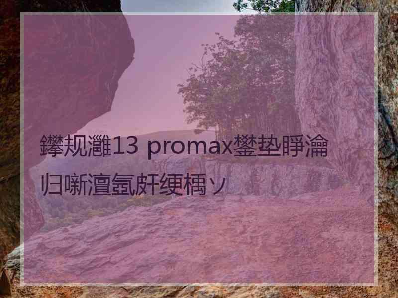 鑻规灉13 promax鐢垫睜瀹归噺澶氬皯绠楀ソ