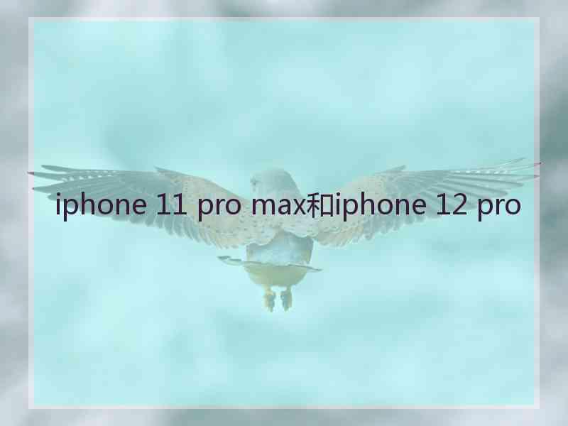 iphone 11 pro max和iphone 12 pro