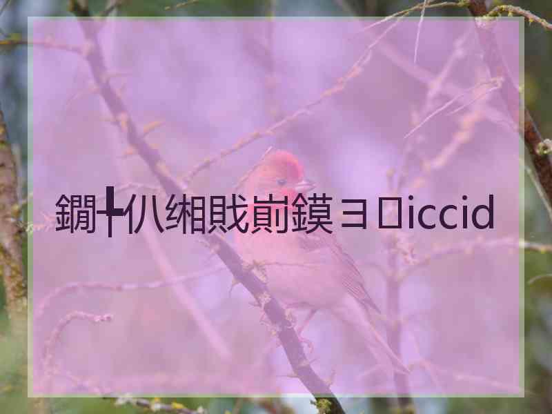 鐗╄仈缃戝崱鏌ヨiccid