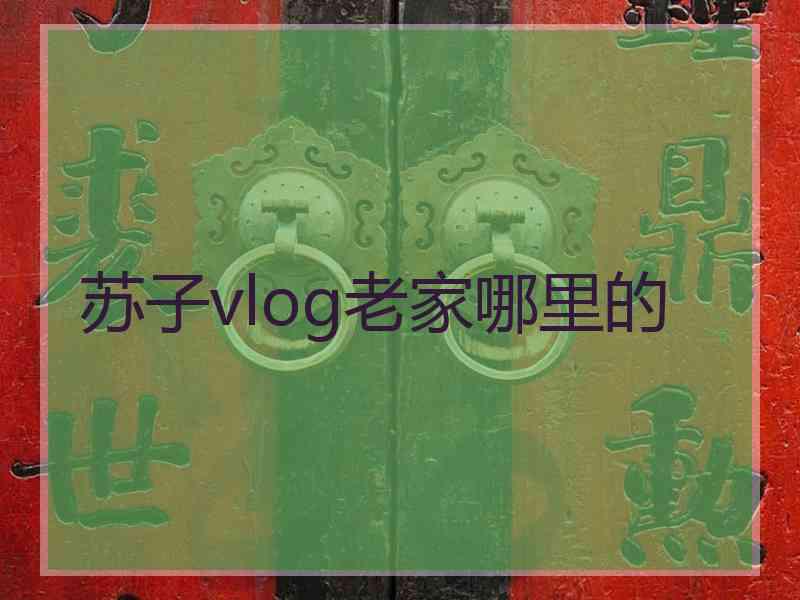 苏子vlog老家哪里的