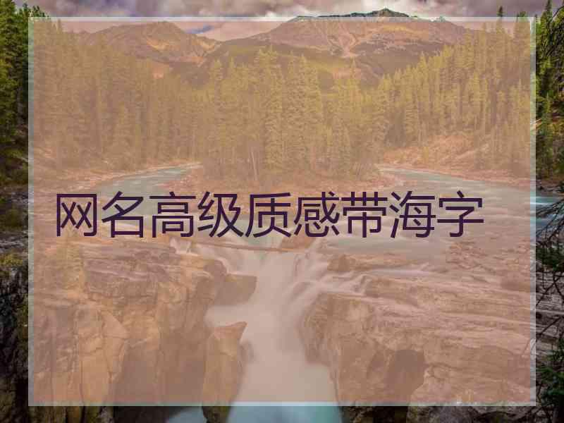 网名高级质感带海字