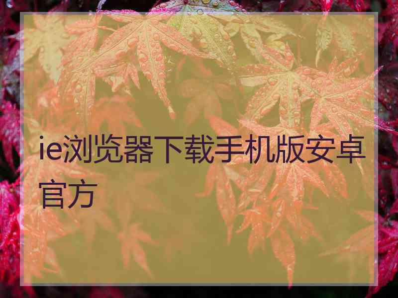 ie浏览器下载手机版安卓官方