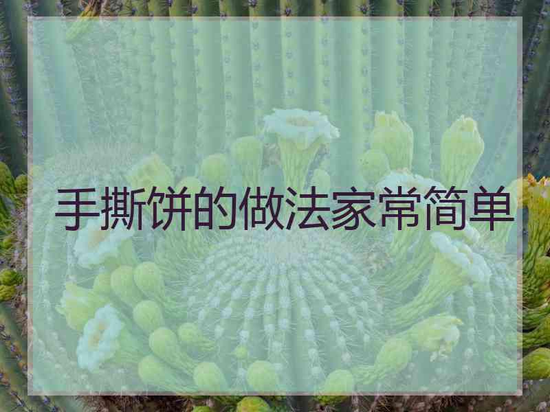 手撕饼的做法家常简单