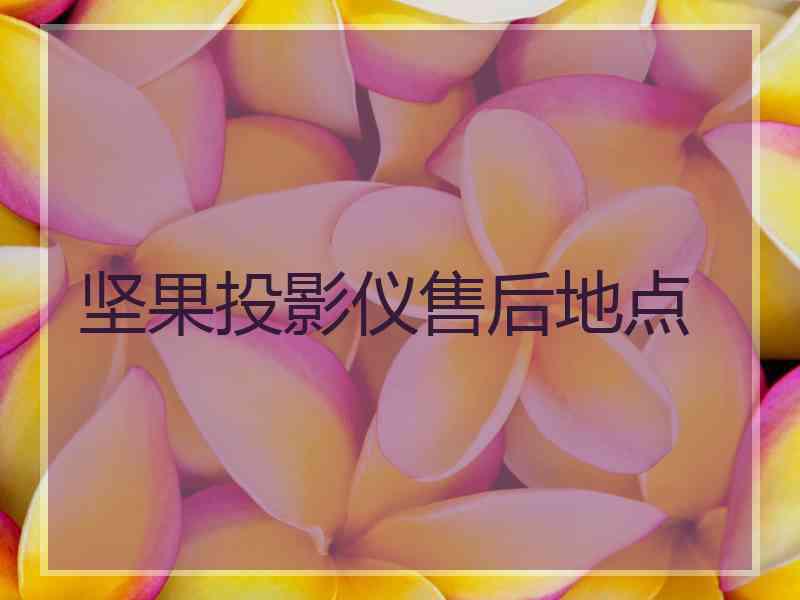 坚果投影仪售后地点