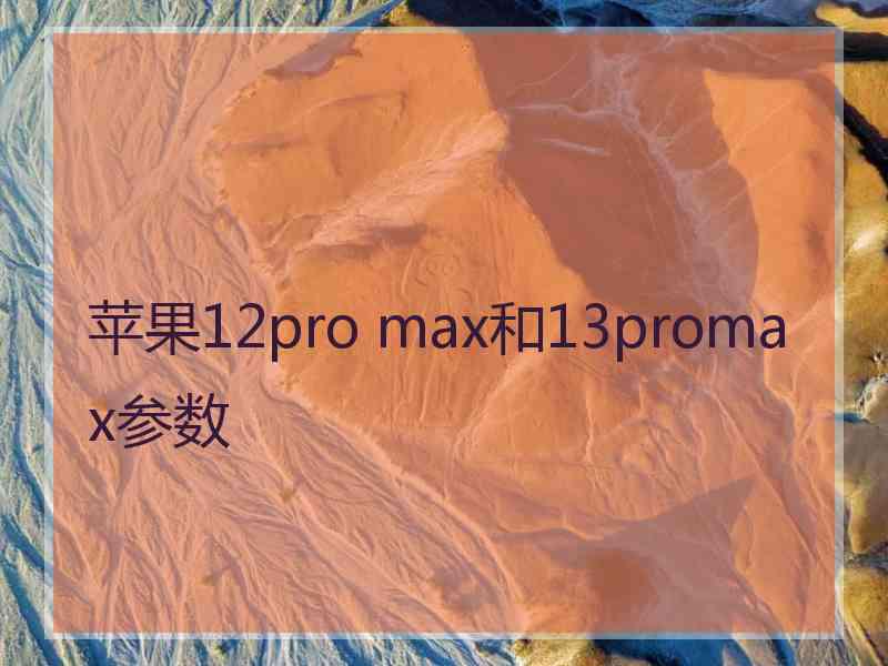 苹果12pro max和13promax参数