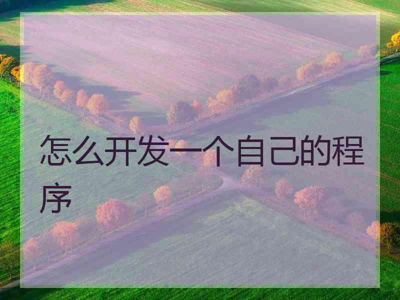 怎么开发一个自己的程序