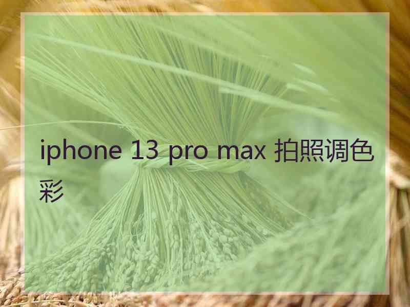 iphone 13 pro max 拍照调色彩