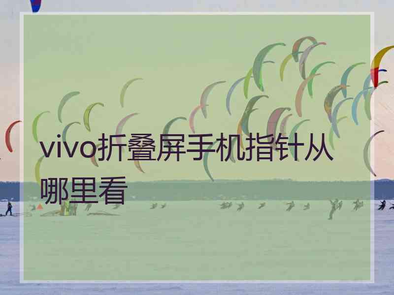 vivo折叠屏手机指针从哪里看