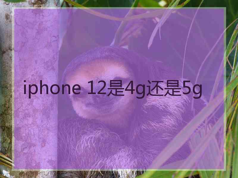 iphone 12是4g还是5g