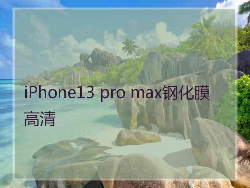 iPhone13 pro max钢化膜 高清