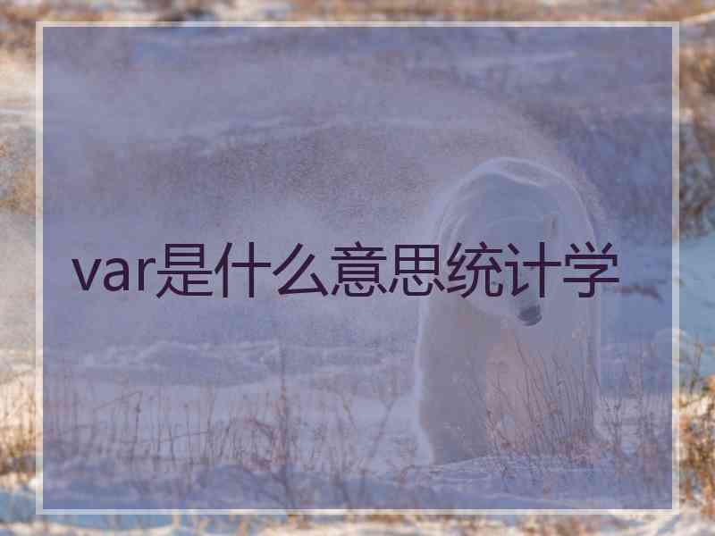 var是什么意思统计学