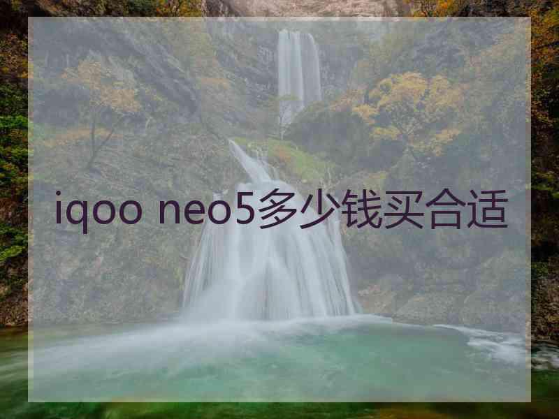 iqoo neo5多少钱买合适