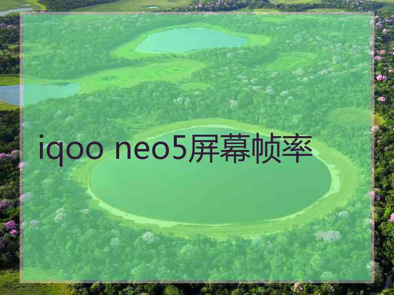 iqoo neo5屏幕帧率