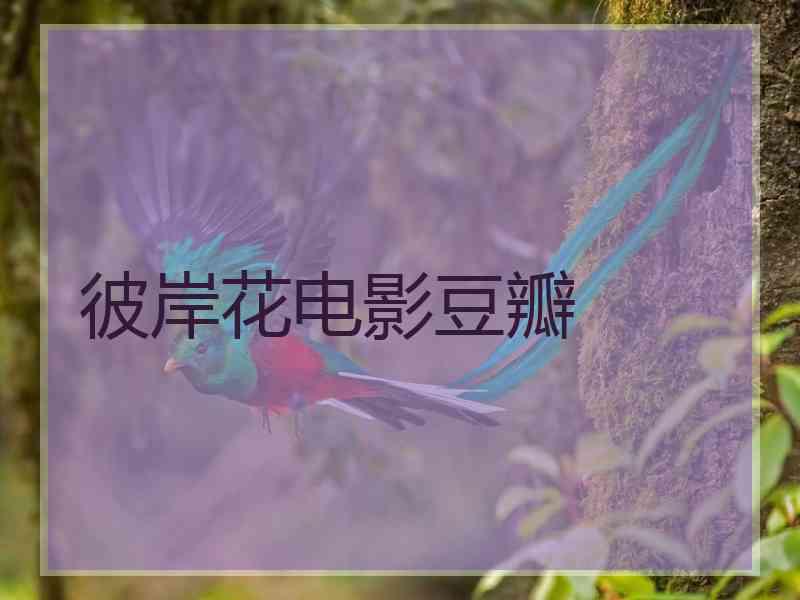 彼岸花电影豆瓣