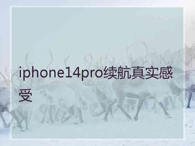 iphone14pro续航真实感受