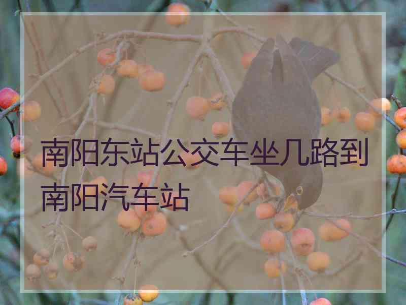 南阳东站公交车坐几路到南阳汽车站