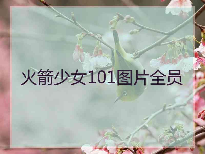 火箭少女101图片全员