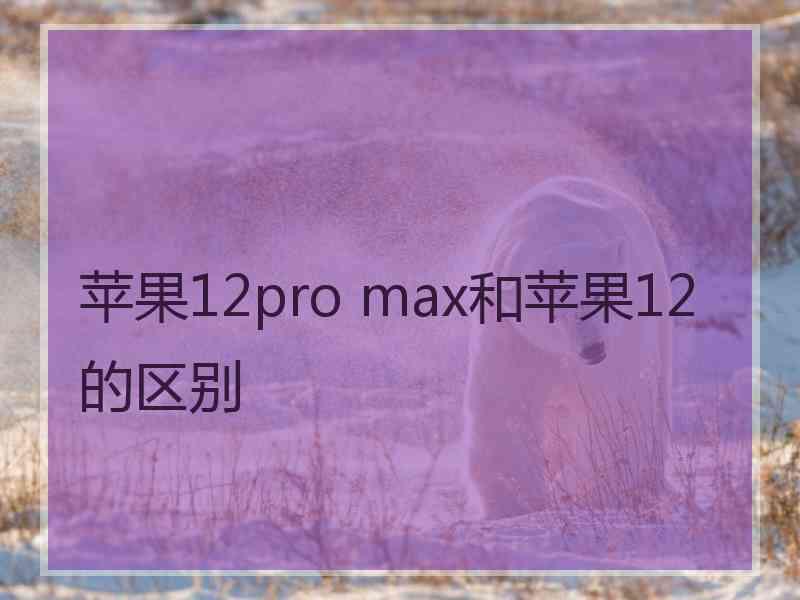 苹果12pro max和苹果12的区别