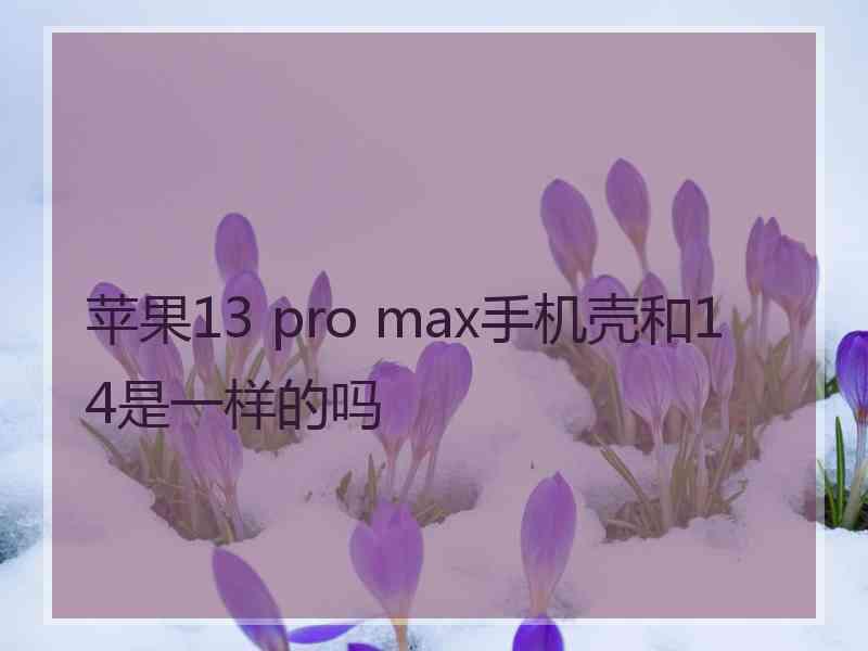 苹果13 pro max手机壳和14是一样的吗