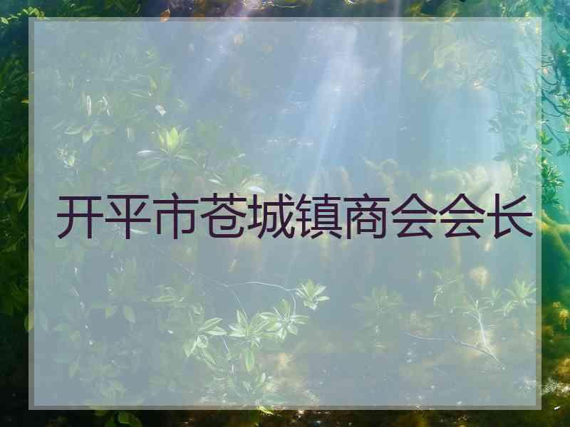 开平市苍城镇商会会长